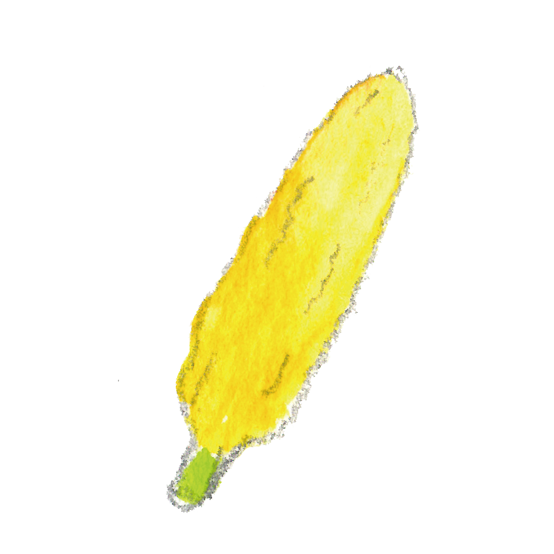 とうもろこしのイラスト・sweet corn