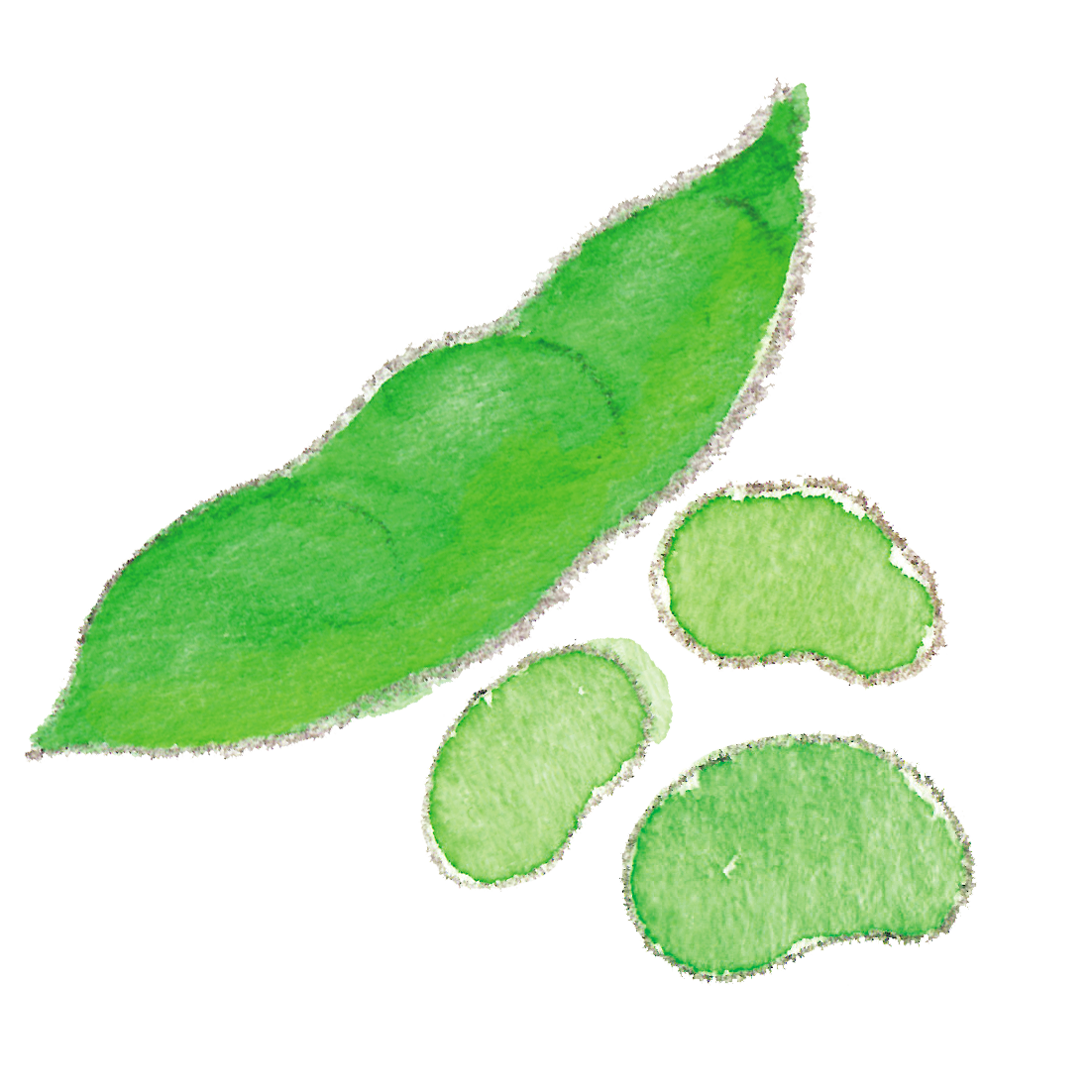 枝豆・green soybeans