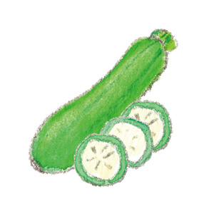 ズッキーニ・zucchiniのイラスト