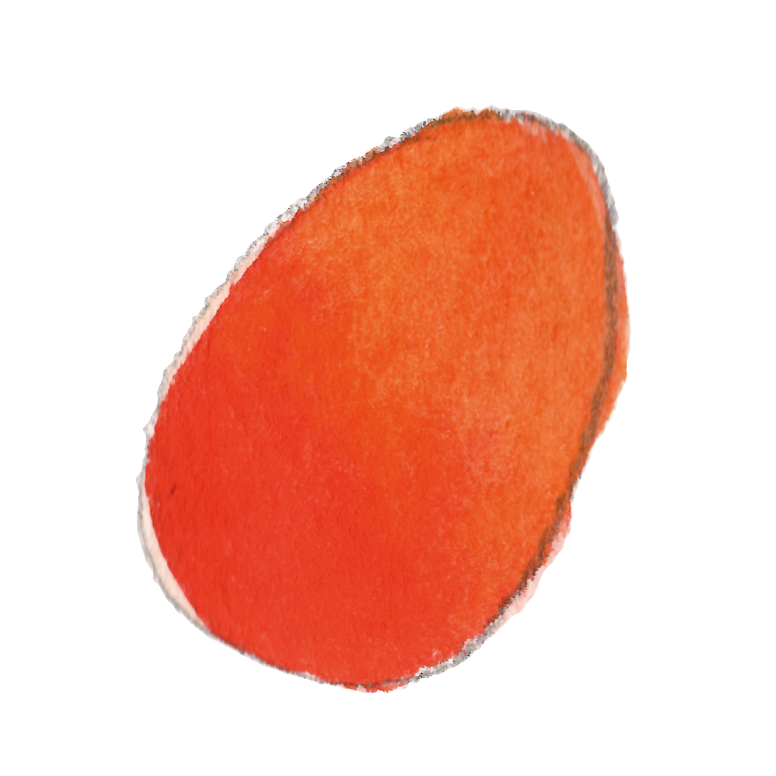 マンゴー・mango
