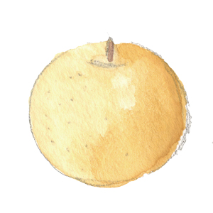 梨・pearのイラスト