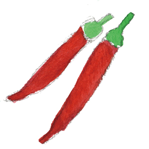 とうがらしイラスト