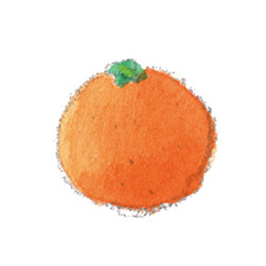 みかんイラスト