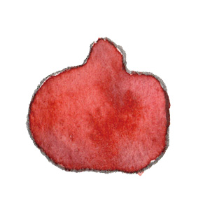 ざくろ・pomegranate